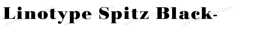 Linotype Spitz Black字体转换